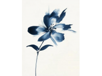 客汀·客家山海融合料理：一場(chǎng)突如其來(lái)的雨，喚醒了用餐的詩(shī)意體驗(yàn)