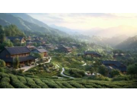 福建田螺坑村：獨特的土樓建筑群與深厚的客家文化遺產