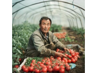 宜賓永興：將工業(yè)與農(nóng)業(yè)的和諧相結(jié)合，譜寫食材新篇章
