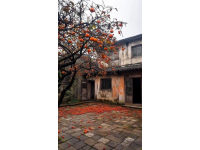 潼南桃樹下的網紅涼粉攤：藏在鄉下，游客到此必打卡