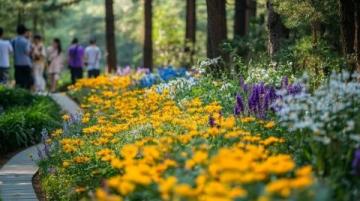 春游賞花|解鎖佛山高明2日1夜親子游新玩法