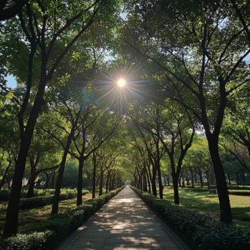 回憶家鄉(xiāng)的風光:廣州天河公園