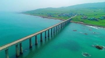 陽西55公里蠔情盛宴舌尖上的旅行