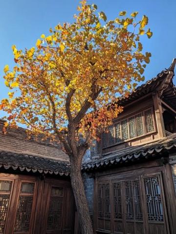 莊行古鎮，都市中的靜謐之地