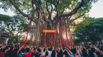 臺安遼河文化旅游節來了!自由入園,暢享美景、美食和熱情的鄰里們!