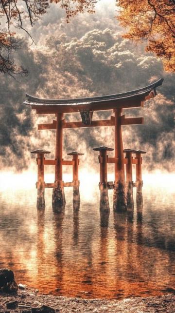 在日本的背后,原來還有這樣的一面。