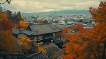 京都奈良宇治探秘之旅