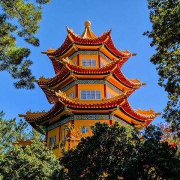 深圳爸媽退休生活：每月13500元養老金，暢游美食天堂車公廟