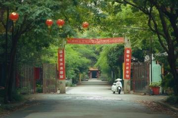深圳爸媽退休生活：每月13500元養老金，暢游美食天堂車公廟
