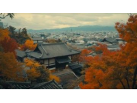 京都奈良宇治探秘之旅