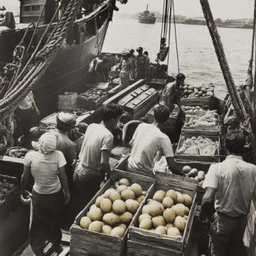 1950年前后,印尼當時發生了嚴重的排華事件,許多華僑回到祖國