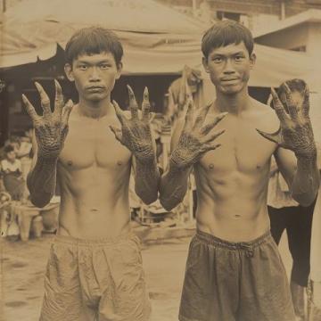 1950年前后,印尼當時發生了嚴重的排華事件,許多華僑回到祖國