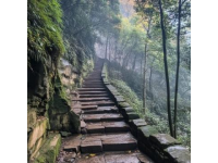 膽小慎入！探索湖北五峰柴埠溪大峽谷的驚險之旅
