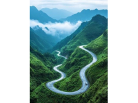 海外創(chuàng)業(yè)輝煌路：兩年內(nèi)如何讓夢(mèng)想照進(jìn)現(xiàn)實(shí)——從阿聯(lián)酋的水果市場到勞斯萊斯座駕