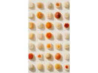 珠三角風味小吃大全：一份饕餮的回憶