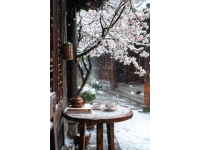金川三月梨花雪浪漫之約