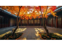 京郊秋日休閑好去處：黃花城舍民宿推薦