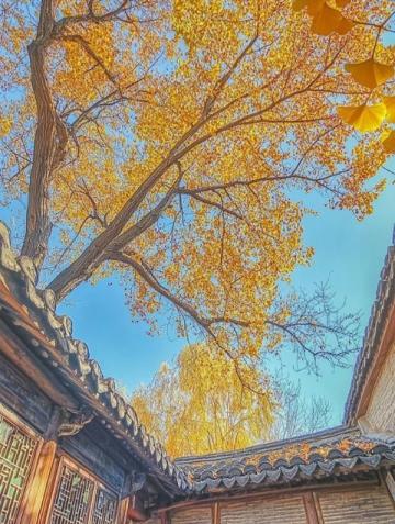 徐州祥海砂鍋居:三十年老字號,非遺傳承的美味探索