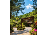 舌尖上的潮汕：千年古韻的味蕾之旅