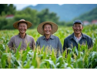 一根玉米，一百種鄉音：中國玉米的奇妙語言密碼