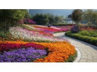 成都春日花園盛景：春花第三期賞花指南來襲