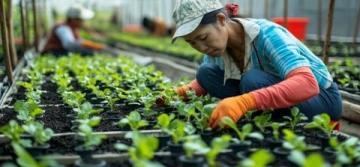 護(hù)苗知識(shí)科普游山西村解鎖知識(shí)密碼，助力青春成長(zhǎng)