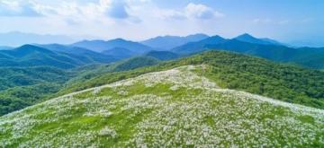 探索谷城自然奇景——老軍山的歷史、文化與四季風光之旅