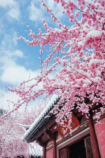 昆明春天美好季節(jié)!3月-6月打卡地美食推薦