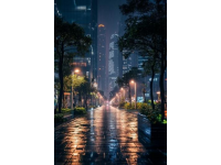 一張圖證明你的海口之旅