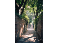 旅順舊街牽動記憶