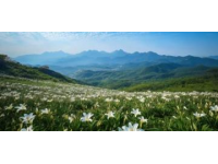 皖北美景,地道美味,盡在行程中