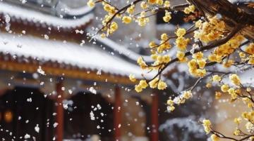 雅丹梨花盛開:春日里的雪景詩篇,純凈而浪漫的世外桃源