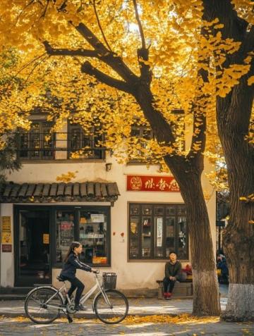 昆明版筑后街銀杏林賞景攻略:金色時光攝影圣地