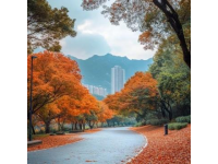 綿陽九皇山，自然與人文完美結合的好去處
