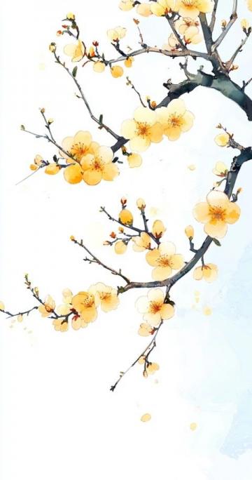 重慶巴南油菜花海美人梅盛開:共賞春日浪漫畫卷