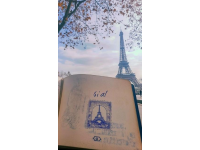我的旅行日記：一場轟動性的冒險之旅!