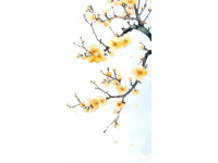 重慶巴南油菜花海美人梅盛開：共賞春日浪漫畫卷