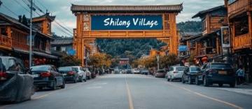 駕車尋覓鄉(xiāng)間靜謐:震澤古鎮(zhèn)的古樸風貌與美食探索