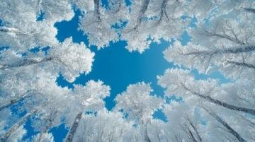 在白雪皚皚的世界中,感受唯一的絢麗美景