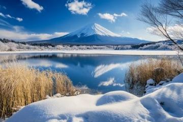 在白雪皚皚的世界中,感受唯一的絢麗美景
