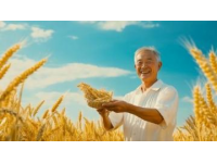 內蒙古特色燒麥：稍麥的魅力風情