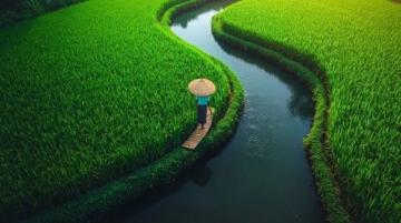 湖南新化:春季12種常見野菜大揭秘