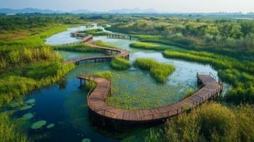清遠飛來湖濕地公園免費開放，特惠活動及交通、住宿指南