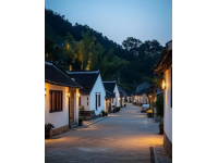 新昌西坑古村：小溪穿村而過，精致臺門建筑群與故居相伴