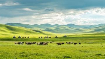 內(nèi)蒙古旅行心得分享:實(shí)用攻略與真實(shí)體驗(yàn)!
