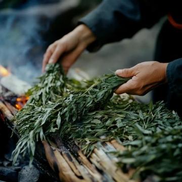 五月炎夏必備:酸辣裙帶苗拌蕨根粉,開(kāi)胃又健康!