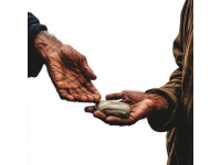 攜手傳遞溫暖：扶危濟(jì)困的感人故事層出不群