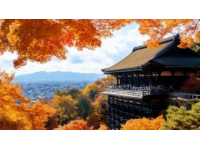 京都清水寺詳盡游覽攻略及實用建議
