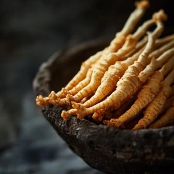 舌尖上的蓮藕:一場從根到籽的美味之旅