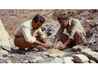 60年代地質工作者在大興安嶺遇到鄂溫克族人家的溫暖故事